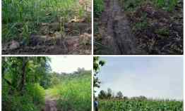 Dijual Pekarangan 3150m2 Dijual Cepat 350jt Lokasi Sumberlawang Sragen