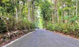 Tanah Dijual di Utara Komplek Pasar Plangsalam, Mojogedang. Kerjo, Karanganyar