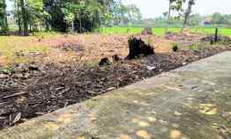 Tanah Super Datar 160 juta Kedawung Sragen