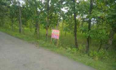 Tanah Tegalan Murah Ada Pohon Jati