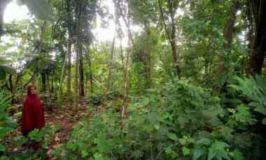 Tanah Tegalan Murah Kaliboto