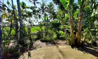 Tanah Temon Depan Bandara YIA Cocok Investasi