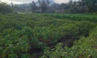 tanah tempat strategis murah