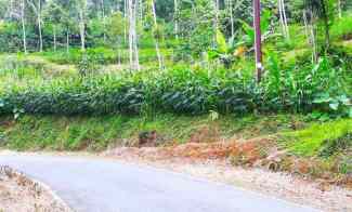 Tanah Tepi jl Kerjo-Sambirejo Kerjo Karanganyar