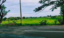 Tanah Strategis Buka Usaha Tepi jl Raya Batujamus Gerompol Sragen