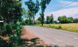 Tanah Idaman Strategis Buka Usaha Tepi jl Raya Kedawung Sragen