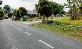 Tanah Strategis 2100m Kebun Jati Tepi jl Raya Kerjo Karangpandan