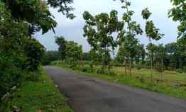 Tanah 5567m Idaman Tepi jl Raya Kerjo Karanganyar