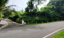 Tanah Idaman Strategis Buka Usaha Tepi jl Raya Mojogedang Karanganyar