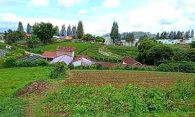 Tanah Terbaik DI BERASTAGI-PECEREN