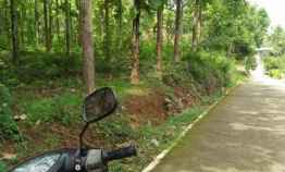 Tanah Kebun Jati Datar Kerjo Karanganyar