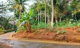 Tanah Hook 1880m Datar Subur Kerjo Karanganyar