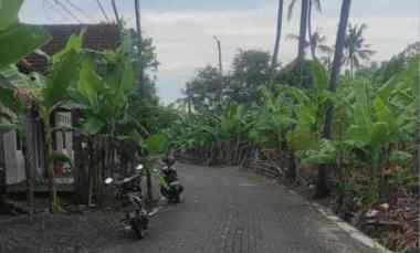 Tanah Tlogomulyo Pedurungan Semarang