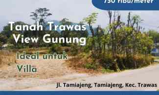 Tanah Dijual di Desa Tamiajeng, Kec. Trawas, Kabupaten Mojokerto, Jawa Timur 61375