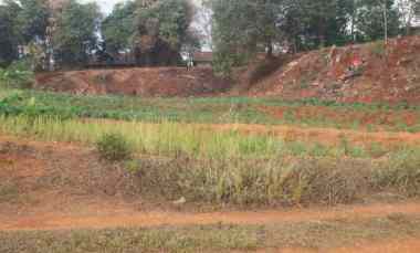 Tanah untuk Perumahan,perkabunan di Ciseeng