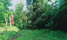 Tanah Cocok untuk Kebun Buah Kerjo Karanganyar