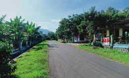 Tanah Kebun Jati Datar Kerjo Karanganyar