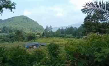 Tanah Dijual di Subang