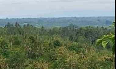 Tanah Dijual di Selemadeg, Tabanan, Bali