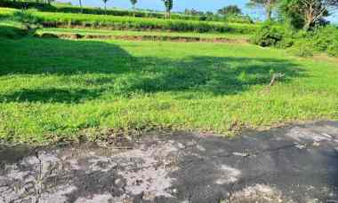 Tanah View Sawah 792m Mojogedang Karanganyar