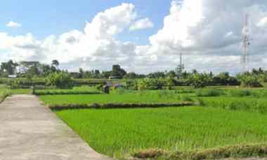 Tanah View Sawah dan Gunung di Keramas Gianyar Bali