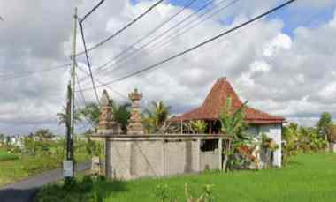 Tanah Zona Kuning View Sawah di Jalan Cinta Ubud Bali