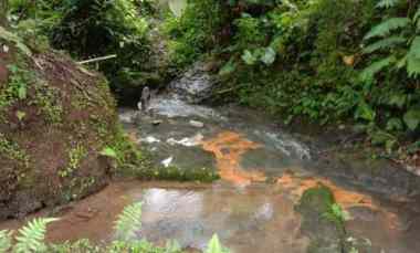 Tanah Dijual di Penebel, Tabanan, Bali