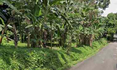 Tanah Zona Kuning di Katik Lantang Ubud Bali