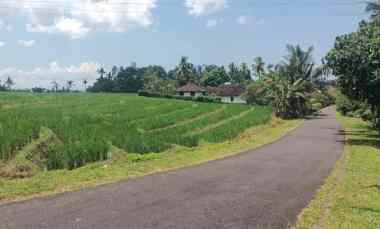 Tanah Sawah dekat Pantai di Tabanan Bali