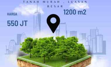 Tanah Villa Pacet, Luasan Besar 1200m2