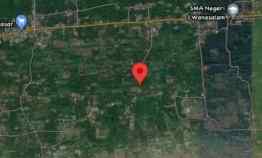 Tanah/tambah/kolam Ikan di Wanasalam Lebak