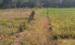 Dijual Lahan Nol Jalan Bypass Nganjuk Zona Industri