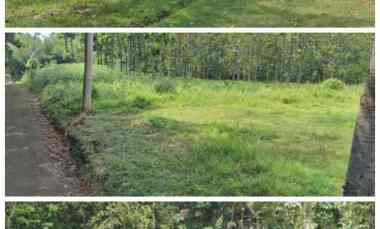 Tanah Wisata 3,7Ha Karangpandan Karanganyar 300rb/m2