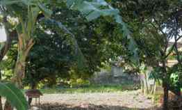 Tanah Yogyakarta, 10 menit Tugu Jogja, SHM-P