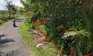 Tanah Dijual di Antap, Tabanan, Bali