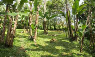 Tanah Dijual di Tegallalang, Gianyar, Bali