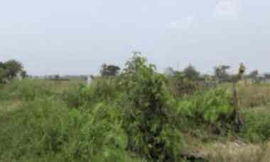 Tegalan Murah di Kaliboto