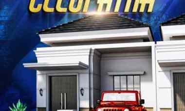 Vasco City Light Type Cleopatra