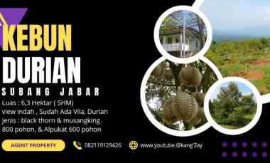 Tanah Dijual di Subang