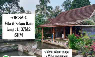 Vila Kolam Ikan, View Bagus, Tanjung Siang Subang