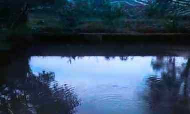 Villa Dijual di Bernung, Gedong Tataan