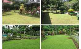 Villa Dijual di Jalan Raya Taman Safari Cisarua Puncak Bogor