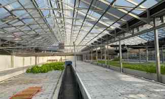 Workshop GreenHouse Siap Pakai di Rawalumbu Bekasi