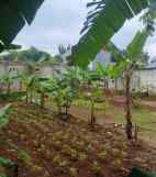 dijual kavlin tanah termurah bsd lokasi strategis