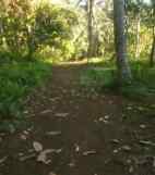 dijual tanah banjar dinas munduk desa