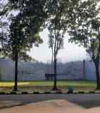 dijual tanah desa dagan kecamatan solokuro