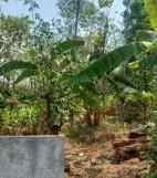 dijual tanah mulawarman tembalang semarang