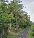 dijual tanah mundeh tabanan bali