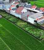 jual tanah murah 2 175jt m pinggir jalan parangtritis