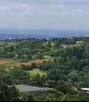 tanah dijual di gunung geulis bogor